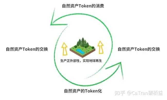 ReFi 再生金融 碳信用 Token NFT 项目图解