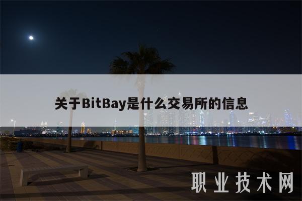 B网交易所是哪个国家的 公司背景 2026 截图
