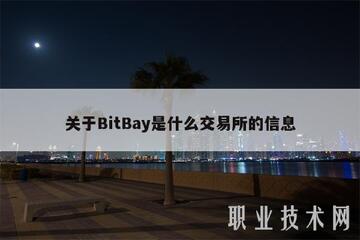 B网交易所是哪个国家的 公司背景 2026 截图