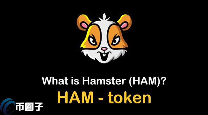 仓鼠币 HAM 币种介绍 宣传图 色彩丰富 无水印