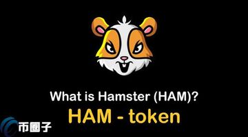 仓鼠币 HAM 币种介绍 宣传图 色彩丰富 无水印