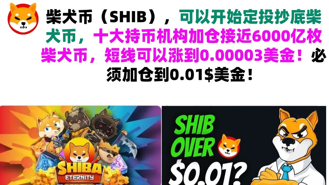 柴犬币购买流程全过程,关键词:新手购买柴犬币教程 完整步骤,色彩丰富 无水印