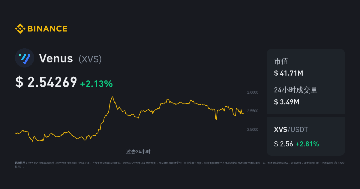 XVS币投资价值与优缺点,关键词XVS币价值分析,色彩丰富 无水印 投资建议