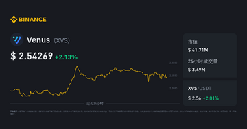 XVS币投资价值与优缺点,关键词XVS币价值分析,色彩丰富 无水印 投资建议