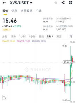 XVS币价格走势与前景,关键词XVS币价值分析,色彩丰富 无水印 行情图