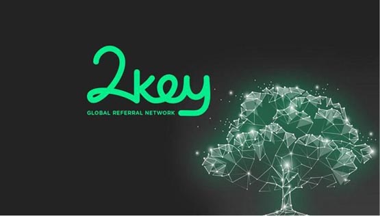 2KEY币概念解释,2KEY币 是什么意思 去中心化任务 色彩丰富 无水印