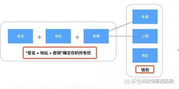 区块链钱包分类对比表,区块链钱包种类介绍,色彩丰富 无水印 宣传图
