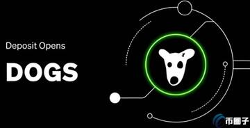 DOGE������Щ���������� �Ұ� ŷ�� ���,DOGE������Щ���������У�,ɫ�ʷḻ ��ˮӡ �����ͼ
