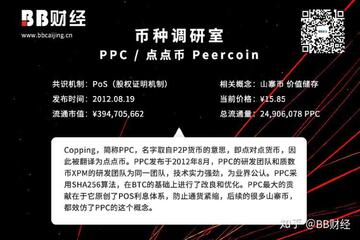 PPC币前景和价值介绍,点点币全解析宣传图 高清无水印