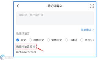 TP钱包导入助记词重设密码,TP钱包助记词找回密码 新版本 操作指导 无水印