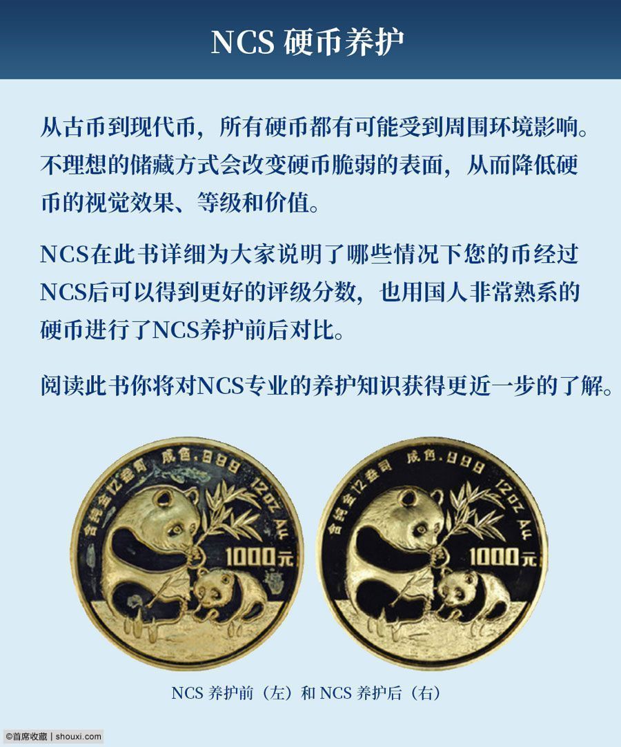 NGC币发行量分配饼图,NGC币发行量比例