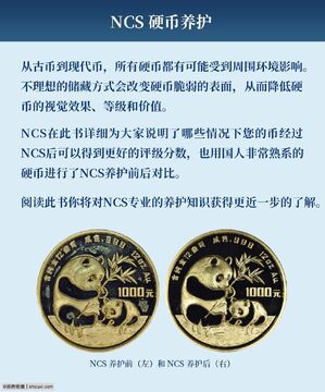 NGC币发行量分配饼图,NGC币发行量比例
