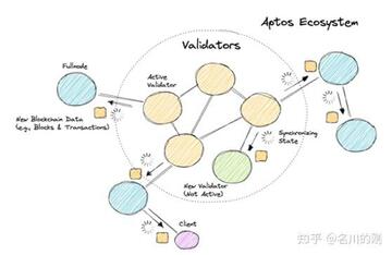 Aptos共识Bug导致宕机,公链Aptos验证节点出问题,色彩丰富 无水印
