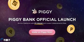 PIG币猪币价值与前景,猪币是什么,色彩丰富 无水印 宣传图
