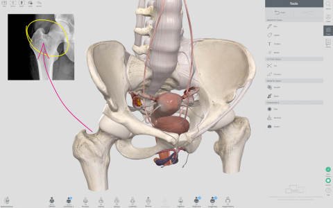Complete Anatomy for Mac电脑版截图1