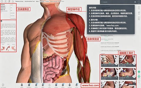 Complete Anatomy for Mac电脑版截图0
