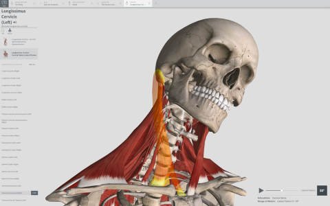 Complete Anatomy for Mac电脑版截图4