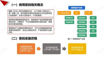 加密行业信息源头变迁史,小白认识加密行业图,色彩丰富 无水印