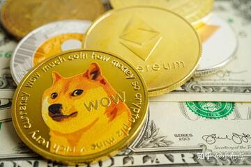 ELON币 狗狗币杀手 社区 meme 币行情 彩色 无水印 示意图