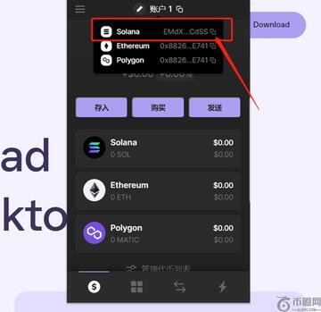 Phantom钱包连接Raydium交换操作,Phantom钱包怎么使用,色彩丰富 无水印 DApp截图
