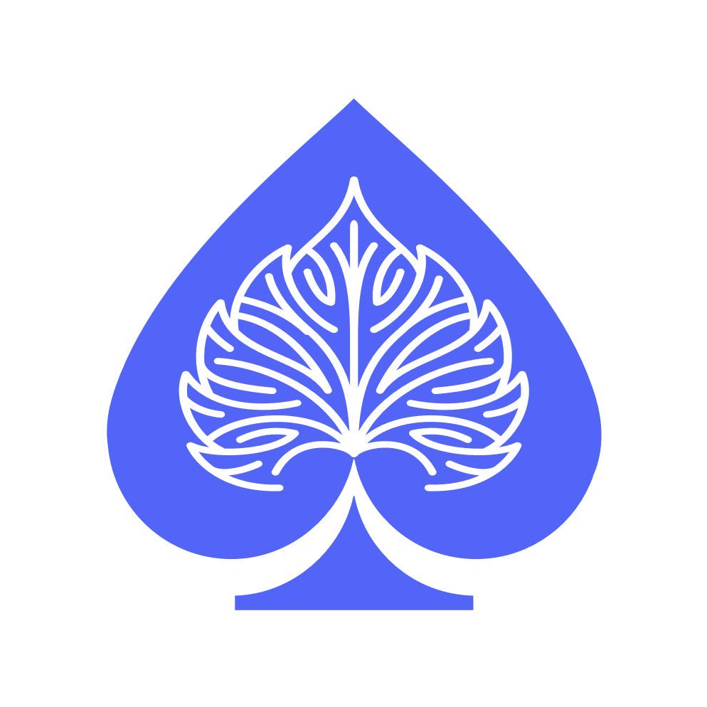NBOT币是什么币种深度测评,NBOT是什么币种,色采丰富 无水印 宣传图