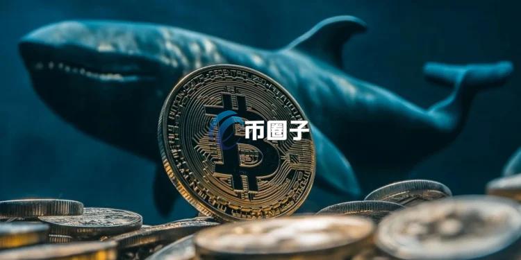 比特币巨鲸转移市场影响,比特币转移,色彩丰富 无水印