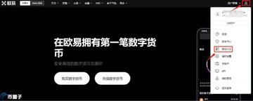 IGNIS币怎么买卖交易 安全避坑,经验分享图