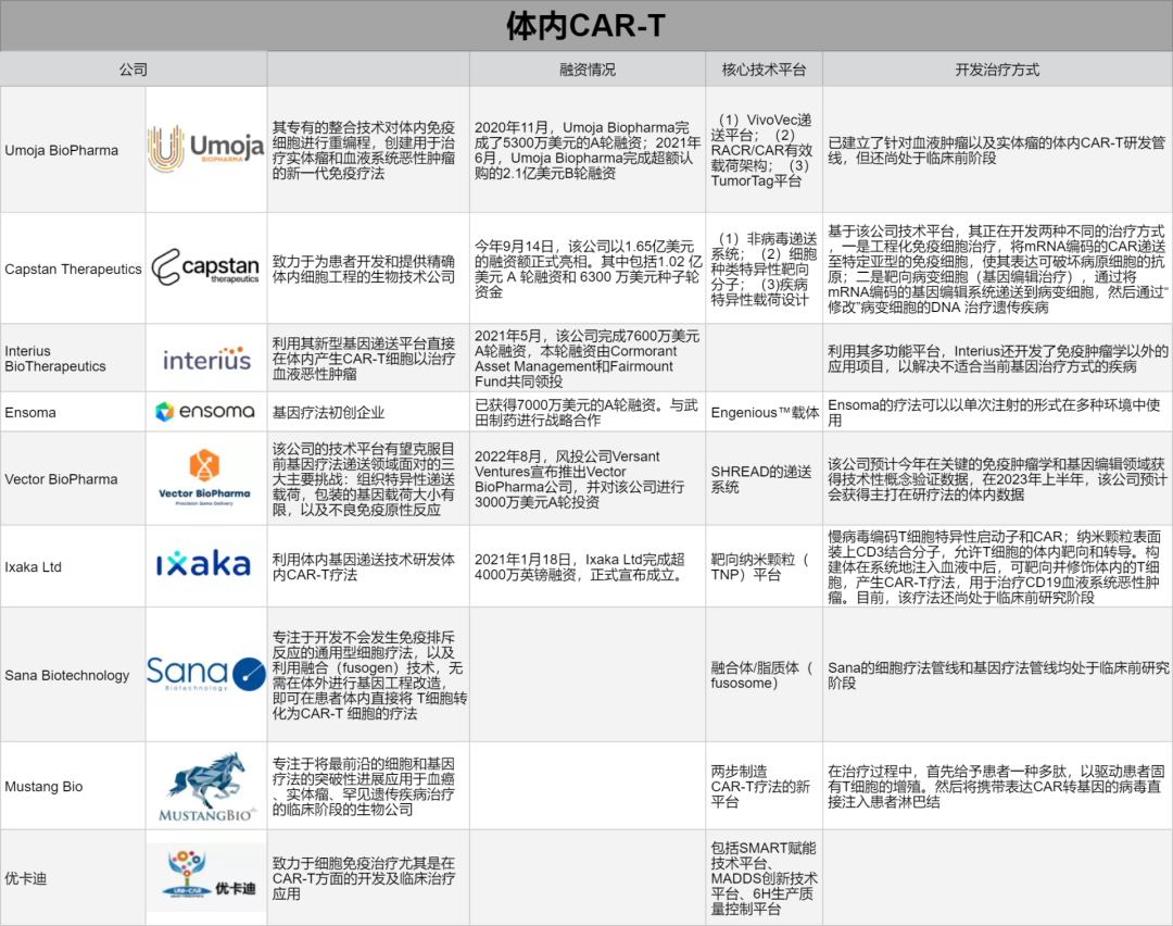 Cartesi项目正版彩图,CART币价值解析 无水印