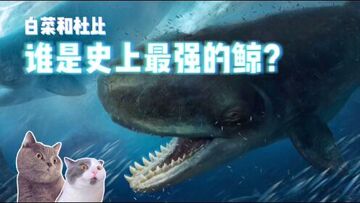��̫��Զ�ž޾�Ǯ����ַ�����춯,���Ϸ��� ��̬��ͷ ��ɫ���� ��ˮӡ ��Ѷͼ