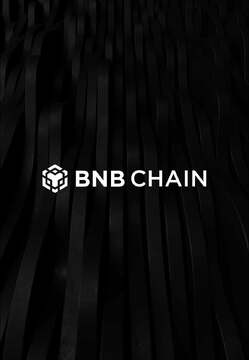BNB Chain��̬ȫ��,Web3���ģ����,����Эͬ ɫ�ʷḻ ��ˮӡ