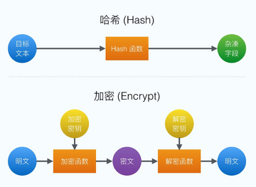哈希表快速查找 工作原理,哈希算法的作用,丰富色彩 插图