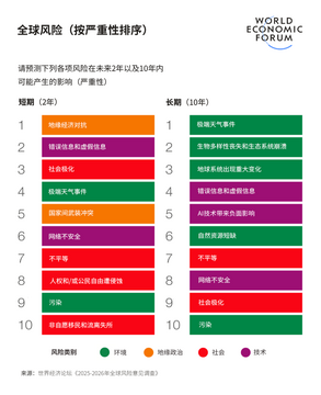 2026年全球风险,市场发生了什么,色彩丰富 无水印