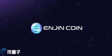ENJ�ҷ�������10��ö,���������ͼʾ,��ˮӡ ����