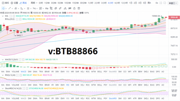 VIB�Һ������� ֵ��Ͷ����,ɫ�ʷḻ ������ʾͼ
