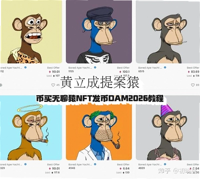 黄立成提案猿币买无聊猿NFT发币DAM2026教程
