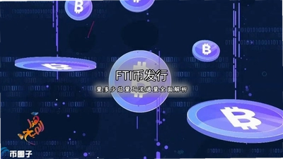 FTI币发行量多少总量与流通量全面解析