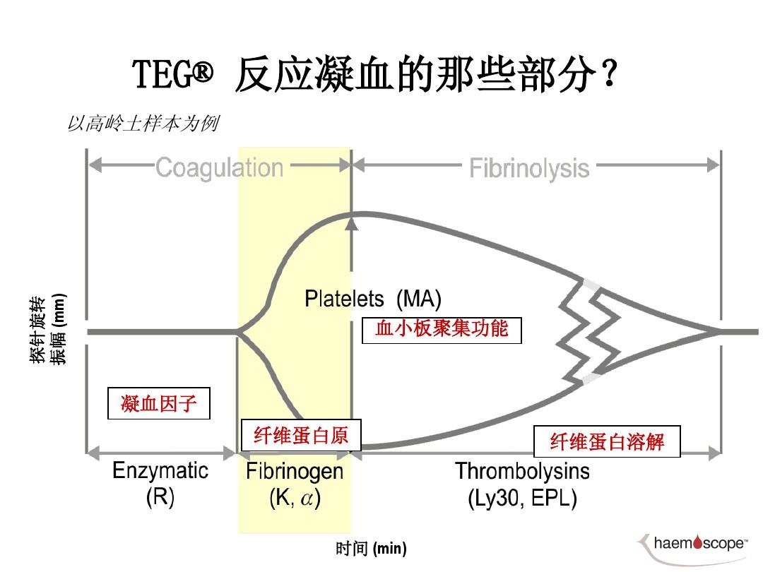 TEG代币生成原因 流动性激励 图表,色彩丰富 无水印