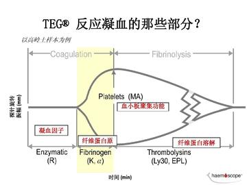 TEG代币生成原因 流动性激励 图表,色彩丰富 无水印