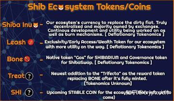 ��Ȯ��δ����ֵǱ������,Shibarium��̬,ɫ�ʷḻ ��ˮӡ ��Ѷͼ
