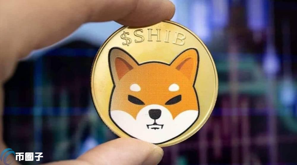 柴犬币未来能涨到1角吗,SHIB价格目标,色彩丰富 无水印 示意图
