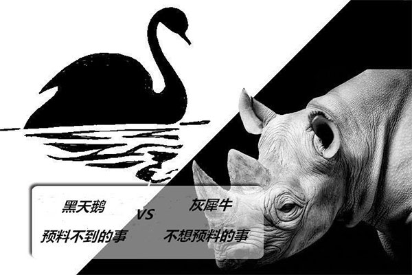 币圈灰犀牛事件与黑天鹅事件对比图,灰犀牛,宣传图 色彩丰富 无水印