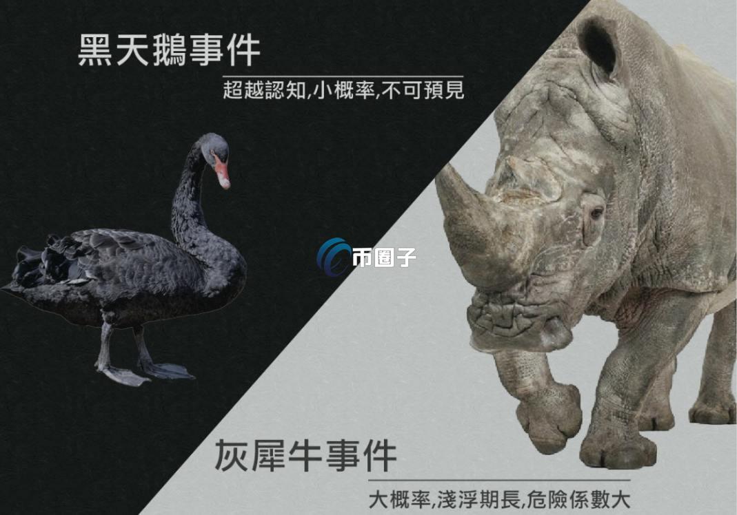 灰犀牛黑天鹅效应防范,币圈,安全策略 概念图