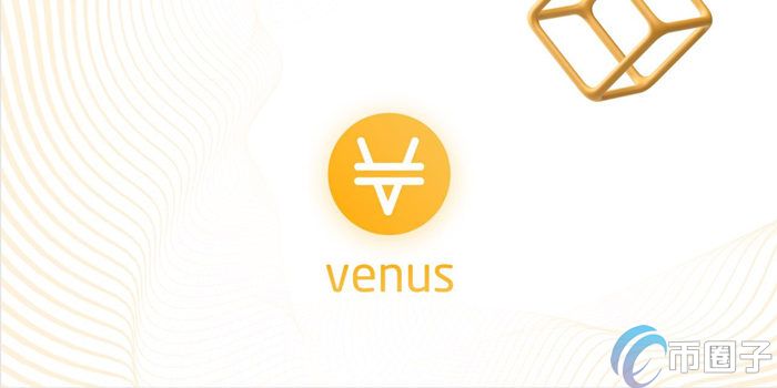 XVS币长期持有价值深度解析 色彩丰富 无水印 宣传图