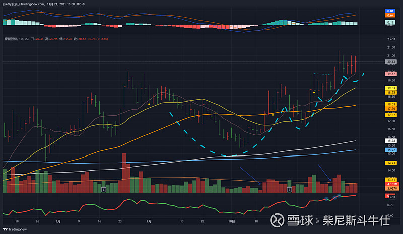 XVS币还能起来吗 监测指标 色彩丰富 无水印 宣传图
