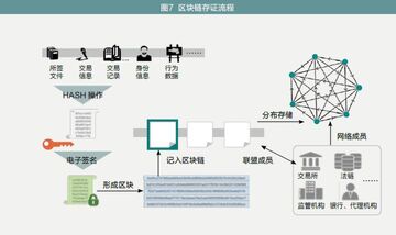 区块链存证 确权流程,链上知识产权协议 区块链技术知识产权保护,无水印 示意图