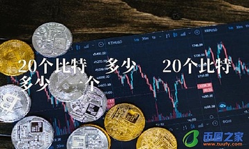 DATA币发行价是多少钱,DATA币发行价,DATA币怎么样,色彩丰富 无水印 宣传图