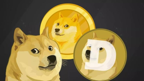 DOGE币活动参与教程,DOGE币的社区活动有哪些,活动海报与奖励