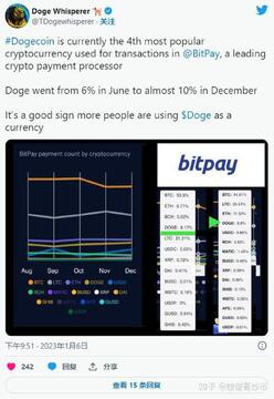DOGE币的社区活动有哪些,狗狗币链上活跃地址统计图 无水印 数据插画