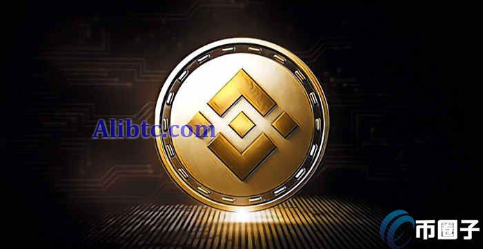 BNB���ټ�¼��ѯ �Ұ���25�μ������� �����������,���ٵ�ַ,͸�� �ɲ� ͼƬ