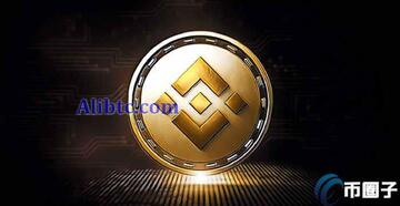 BNB���ټ�¼��ѯ �Ұ���25�μ������� �����������,���ٵ�ַ,͸�� �ɲ� ͼƬ